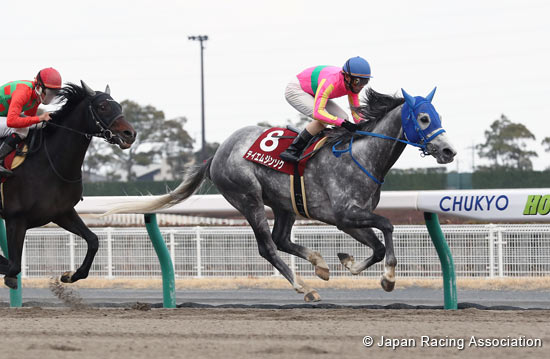 Tokai TV Hai Tokai Stakes (G2)