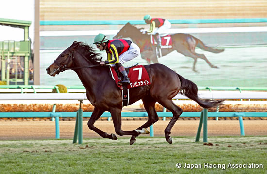 American Jockey Club Cup (G2)