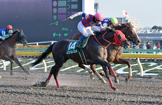 Negishi Stakes (G3)