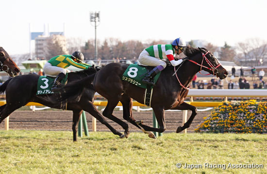 Tokyo Shimbun Hai (G3)