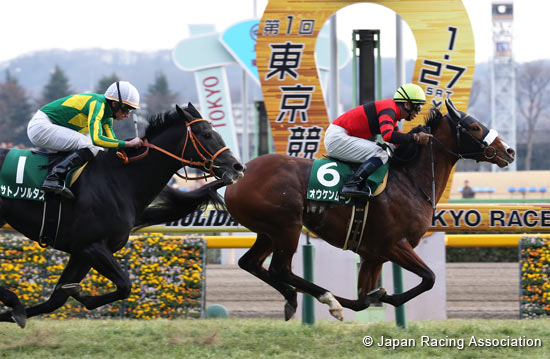 Kyodo News Hai (Tokinominoru Kinen) (G3)