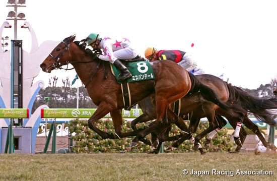 Kyoto Himba Stakes (G3)
