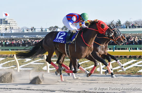 February Stakes (G1)
