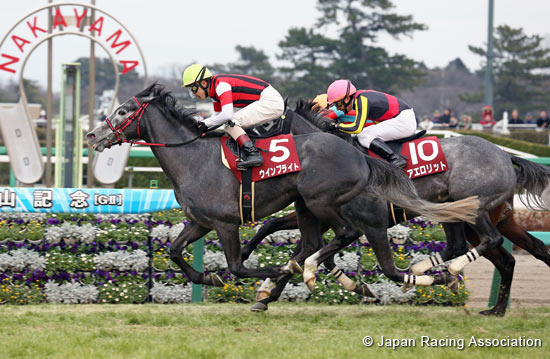 Nakayama Kinen (G2)