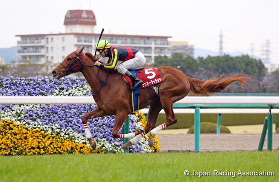 Tulip Sho (Japanese 1,000 Guineas Trial) (G2)