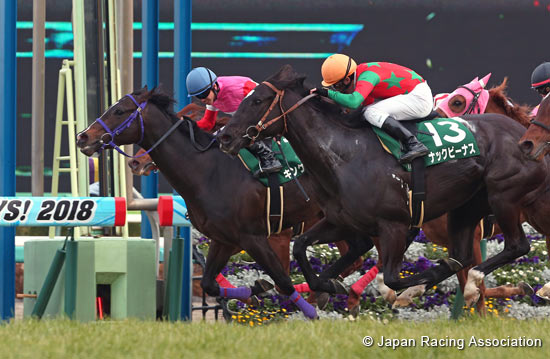 Yukan Fuji Sho Ocean Stakes (G3)