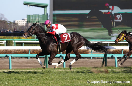 Hochi Hai Yayoi Sho (Japanese 2,000 Guineas Trial) (G2)