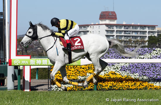 Hanshin Spring Jump (J-G2)