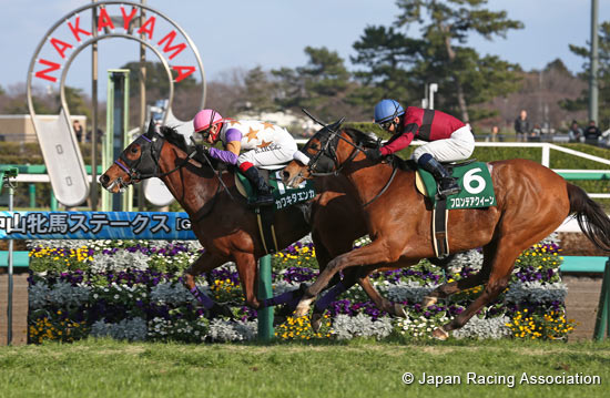 Laurel R.C. Sho Nakayama Himba Stakes (G3)