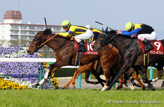 Hochi Hai Fillies' Revue (Japanese 1,000 Guineas Trial) (G2)