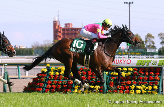 Chunichi Sports Sho Falcon Stakes (G3)