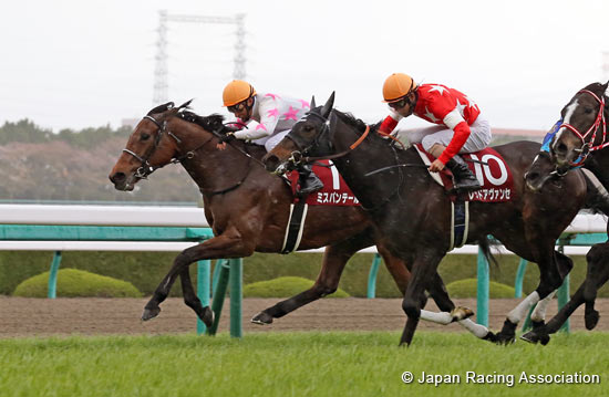 Sankeisports Hai Hanshin Himba Stakes (G2)