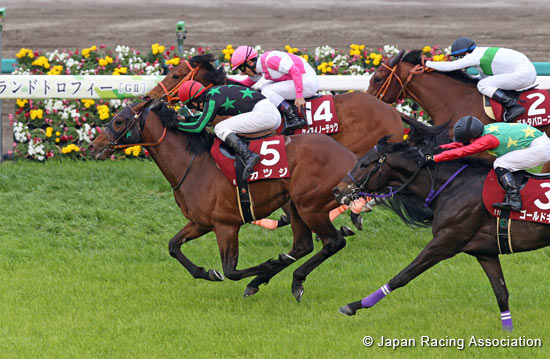New Zealand Trophy (NHK Mile Cup Trial) (G2)