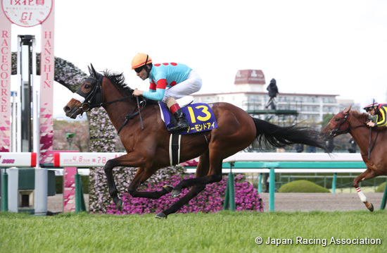 Oka Sho (Japanese 1000 Guineas) (G1)