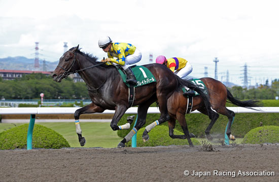 Antares Stakes (G3)