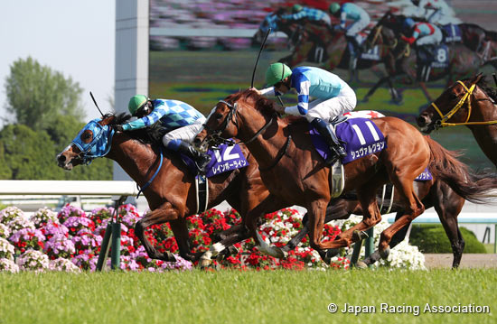Tenno Sho (Spring) (G1)