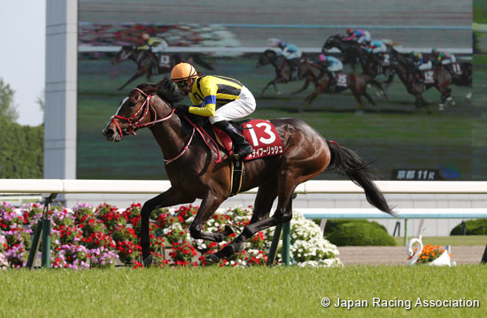 Kyoto Shimbun Hai (G2)