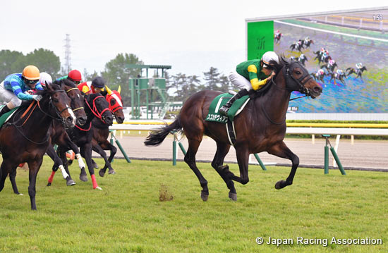 Niigata Daishoten (G3)