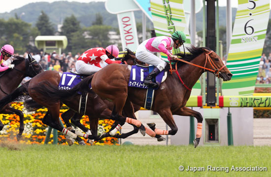 NHK Mile Cup (G1)
