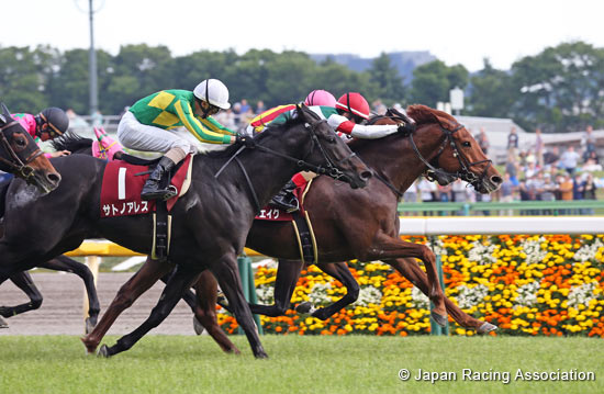 Keio Hai Spring Cup (G2)