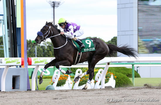 Heian Stakes (G3)