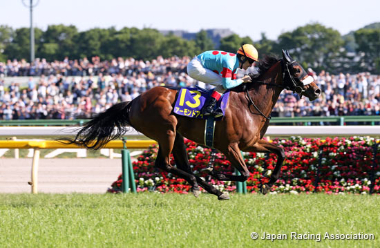 Yushun Himba (Japanese Oaks) (G1)