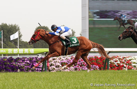 Aoi Stakes
