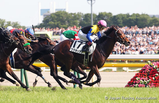 Tokyo Yushun (Japanese Derby) (G1)