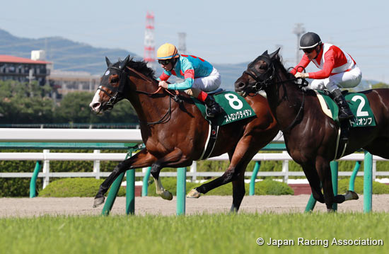 Naruo Kinen (G3)