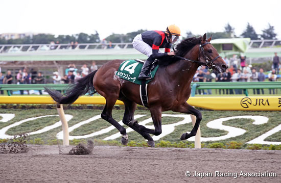 Unicorn Stakes (G3)