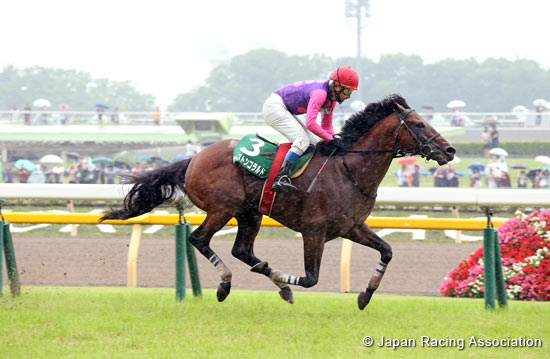 Tokyo Jump Stakes (J-G3)