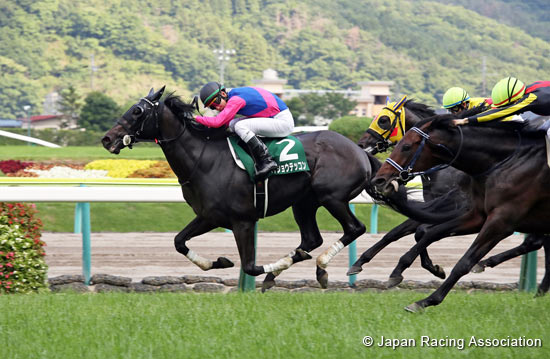 Radio Nikkei Sho (G3)