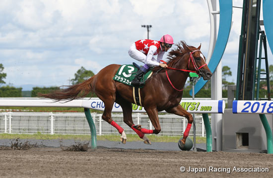 Procyon Stakes (G3)
