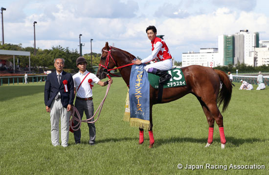 Procyon Stakes (G3)