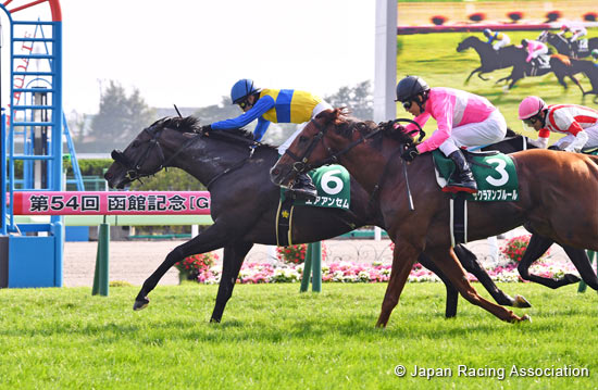 Hakodate Kinen (G3)