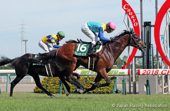 Toyota Sho Chukyo Kinen (G3)