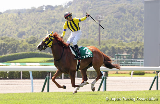 Kokura Summer Jump (J-G3)