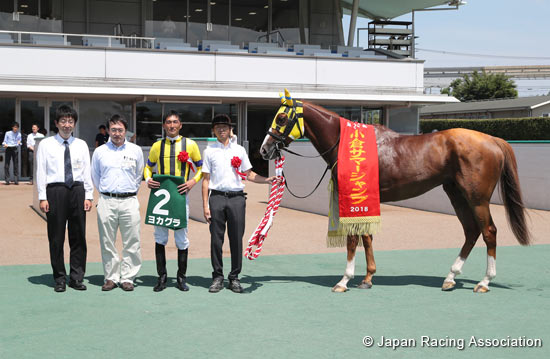 Kokura Summer Jump (J-G3)