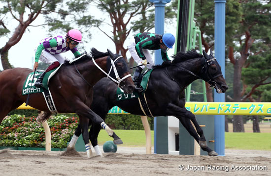 Leopard Stakes (G3)