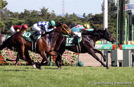 Sekiya Kinen (G3)