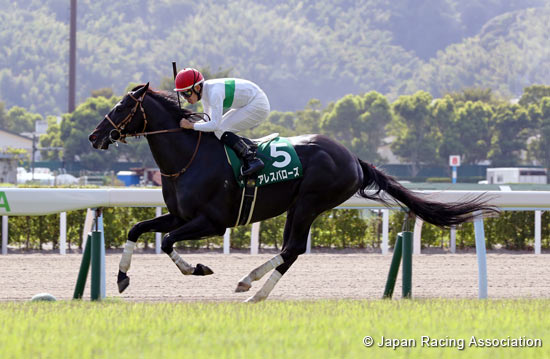 TV Nishinippon Corp. Sho Kitakyushu Kinen (G3)
