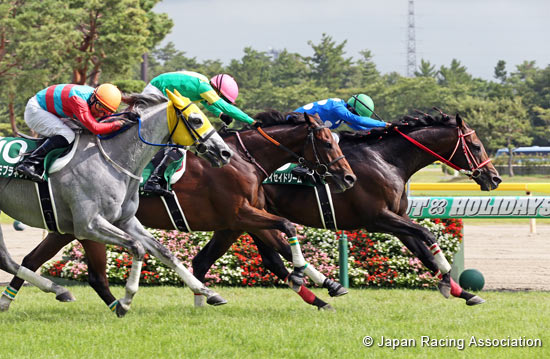 Niigata Jump Stakes (J-G3)
