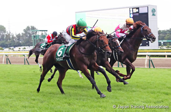 Niigata Nisai Stakes (G3)
