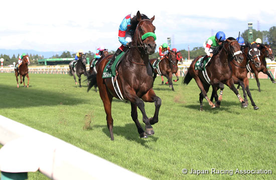 Niigata Kinen (G3)