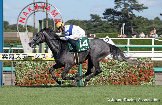 Shion Stakes (Shuka Sho Trial) (G3)