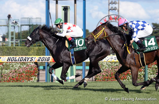 Keisei Hai Autumn Handicap (G3)