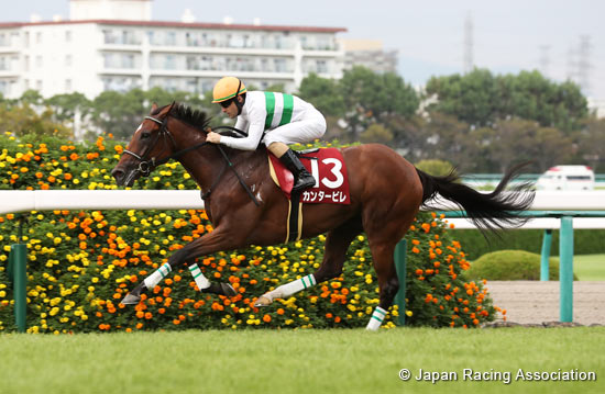Kansai Telecasting Corp. Sho Rose Stakes (Shuka Sho Trial) (G2)