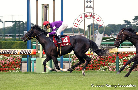 Asahi Hai St. Lite Kinen (Japanese St. Leger Trial) (G2)