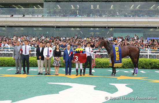 Kobe Shimbun Hai (Japanese St. Leger Trial) (G2)