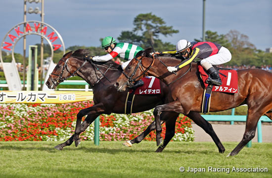 Sankei Sho All Comers (G2)